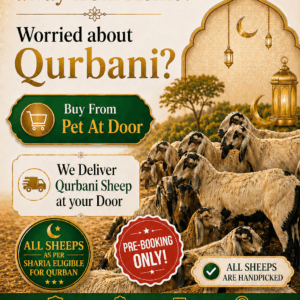 Qurbani 2026